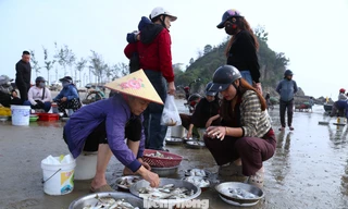 Mở biển lấy lộc, chợ hải sản ven biển nhộn nhịp ngày đầu năm