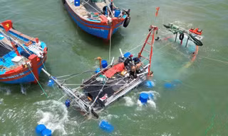 Tàu cá bị sóng dữ nhấn chìm khi cách bờ 1km, bốn thuyền viên may mắn sống sót