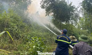 Cháy rừng kéo sang ngày thứ hai, Nghệ An dốc toàn lực khống chế 'giặc lửa'