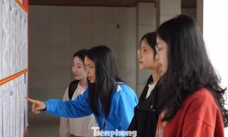 Háo hức mong chờ lần đầu đi bỏ phiếu bầu cử