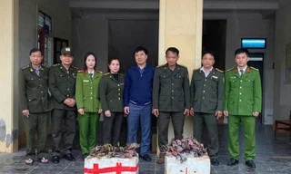 Xử lý hàng loạt vụ săn bắt, buôn bán động vật hoang dã