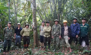 Vòng tay đại ngàn nuôi dưỡng sự sống, che chở con người trong bão lũ