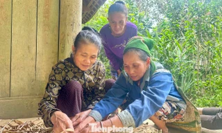 Nghề đan bèo tây mở lối thoát nghèo