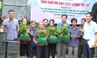 Hàng nghìn hộ dân miền núi có thêm sinh kế, nghề nghiệp mới