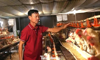 Chuyện về nông dân Việt Nam xuất sắc từng suýt phá sản, phải bán kỷ vật 