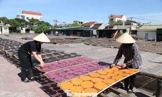 Hành trình làm mới đặc sản quê của cô gái xứ Nghệ