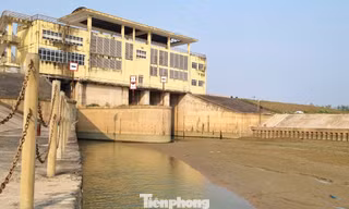 Nghệ An: Hàng loạt trạm bơm thủy lợi 'khát nước'