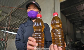Sợ dầu ăn 'bẩn' trên thị trường, người dân Nghệ An đổ xô đi ép dầu hạt về sử dụng