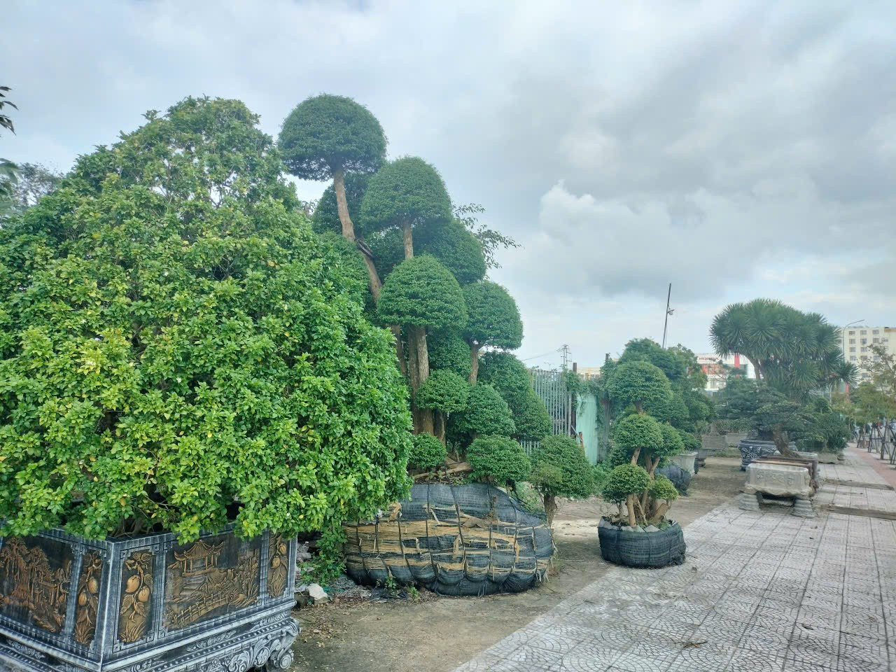 Cận cảnh tiến độ các dự án nhà ở xã hội 'hot' ở trung tâm Đà Nẵng