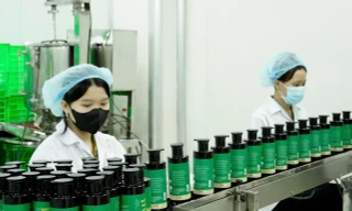 Gia công mỹ phẩm: Mắt xích tạo thương hiệu trong kỷ nguyên cạnh tranh