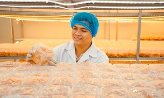 Đề cử Giải thưởng Gương mặt trẻ Việt Nam tiêu biểu năm 2025: Trần Tài