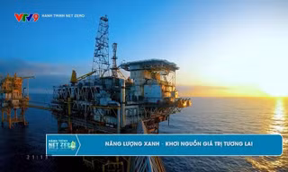 Hành trình Net Zero: Từ nguồn năng lượng sạch đến hệ sinh thái vận hành xanh