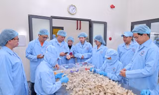 Sanvinest Khánh Hòa: Bức tranh tài chính và năng lực quản trị qua các chỉ số tăng trưởng