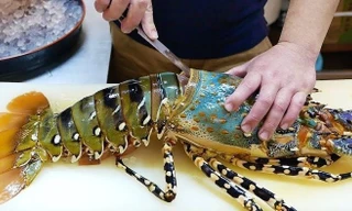 Tôm hùm Việt Nam tham vọng 'soán ngôi' thị trường cao cấp Trung Quốc