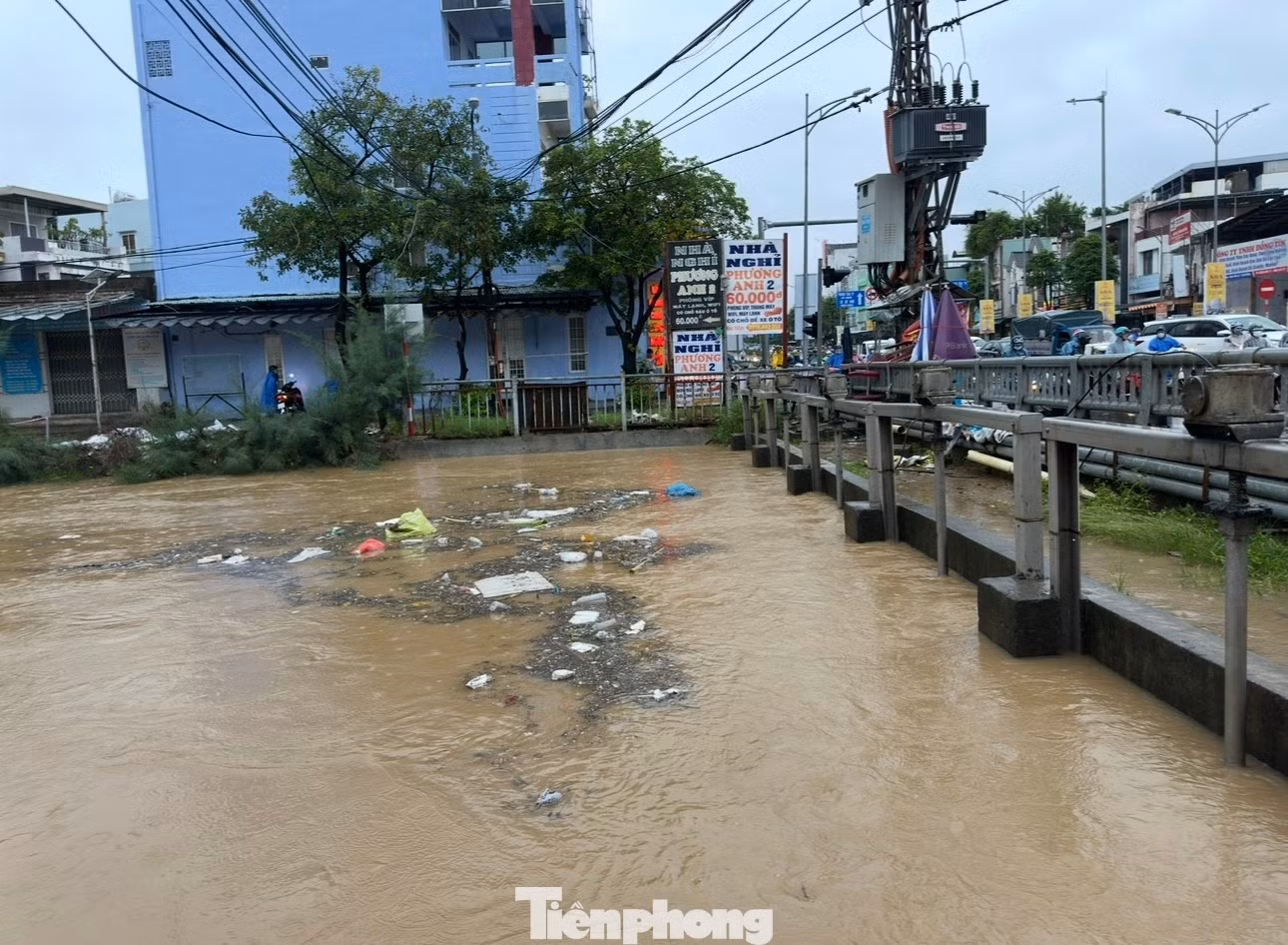 tp-ngapsauddn.jpg