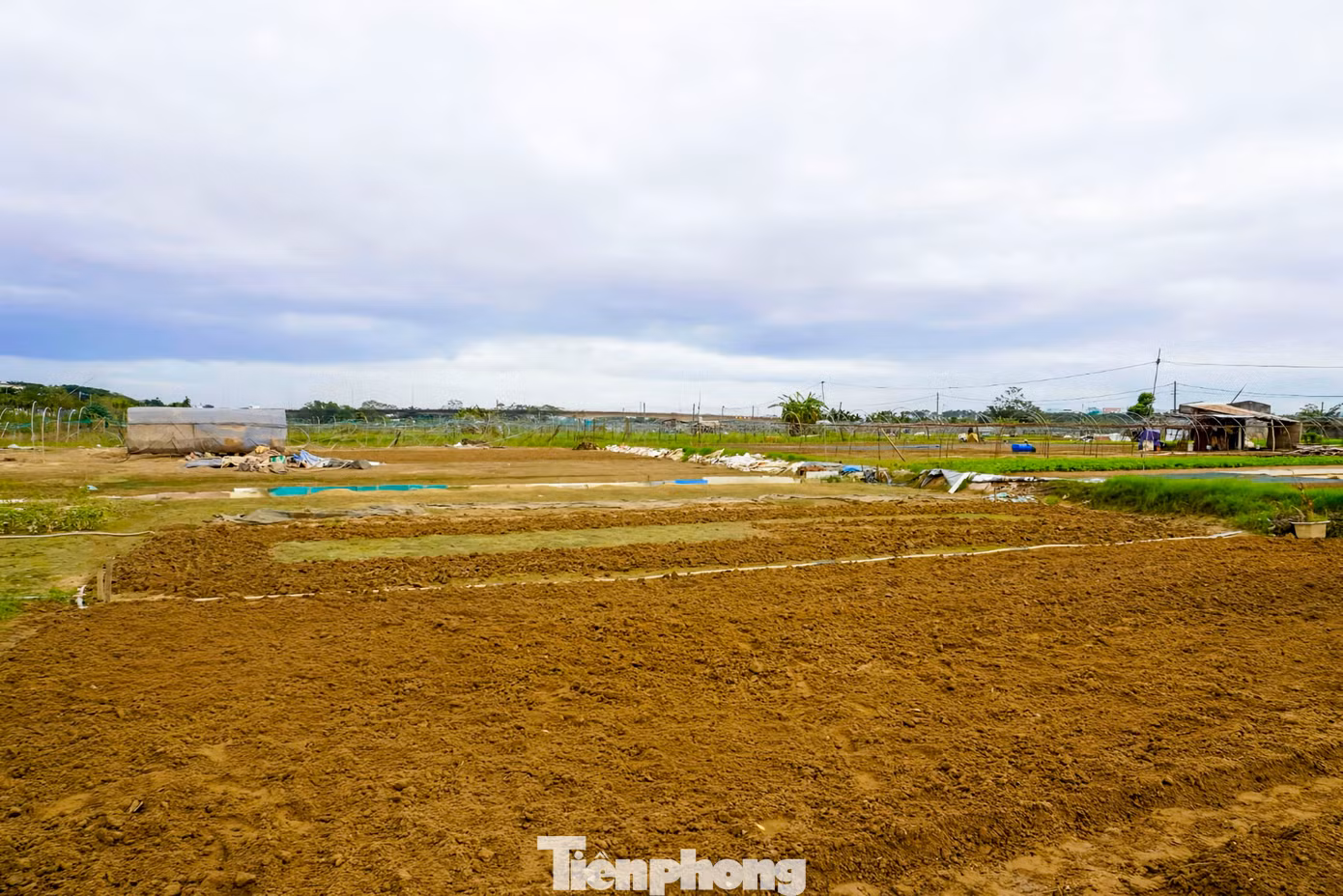 tp-raulahuongdnn-3.jpg