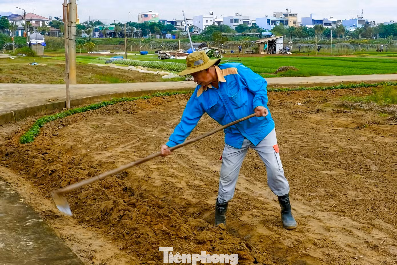 tp-raulahuongdnn-4.jpg