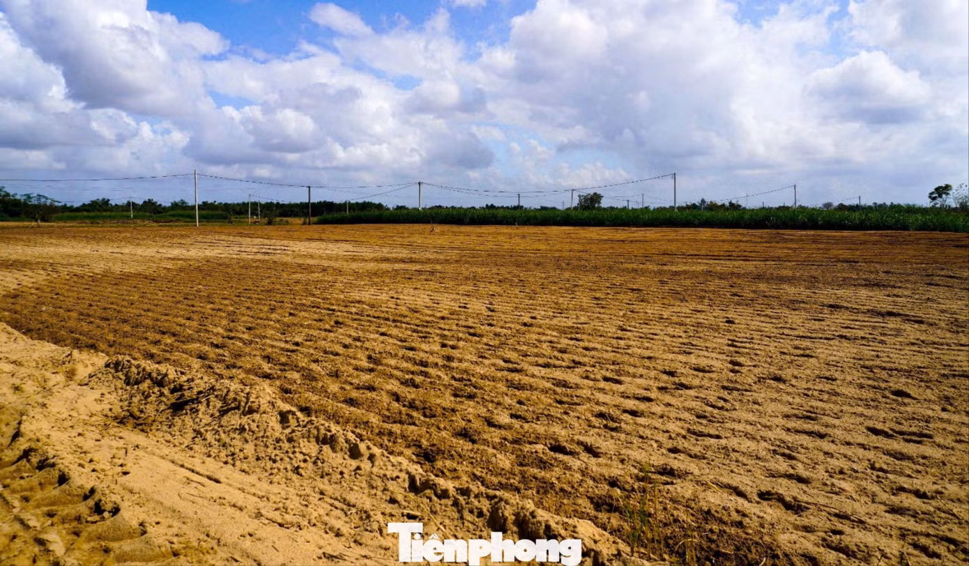 tp-catgonoi-6.jpg