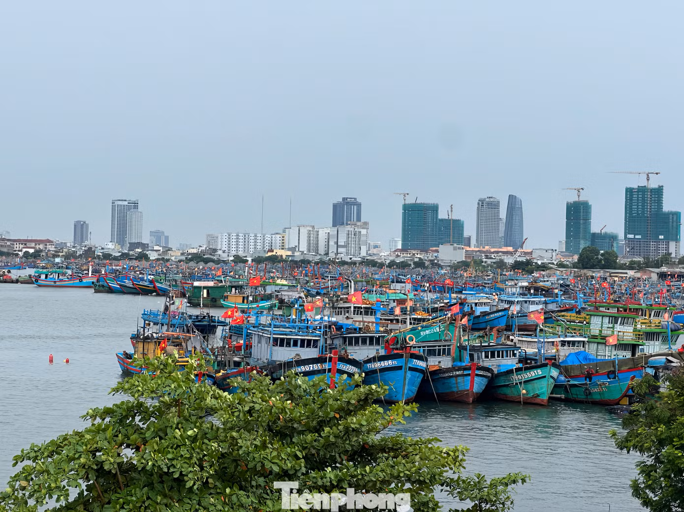 tp-ngudanneodautauthuyenimg-110629-0.png