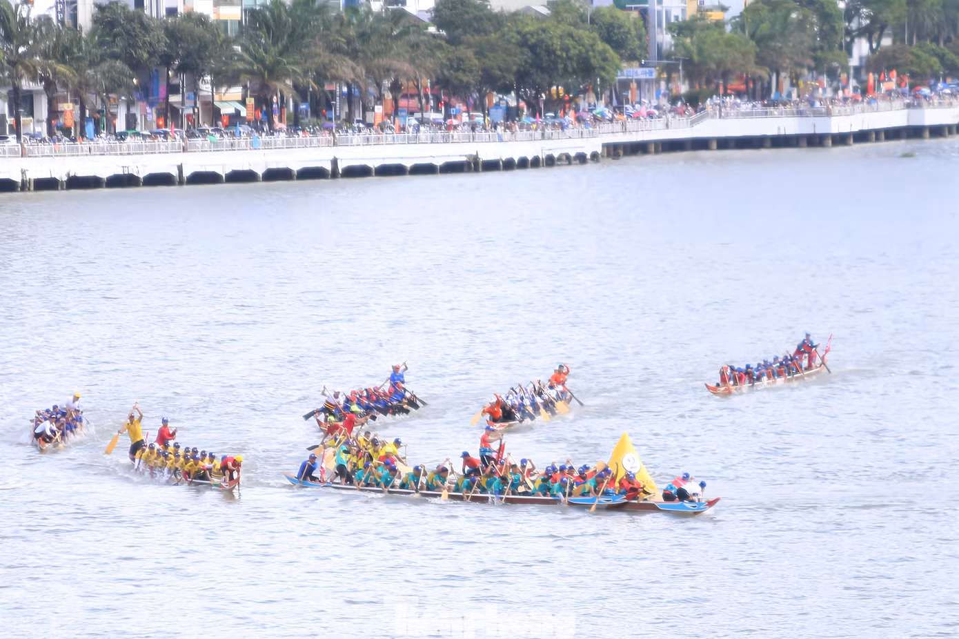 tp-duathuyen29dnimg-104735-0.png