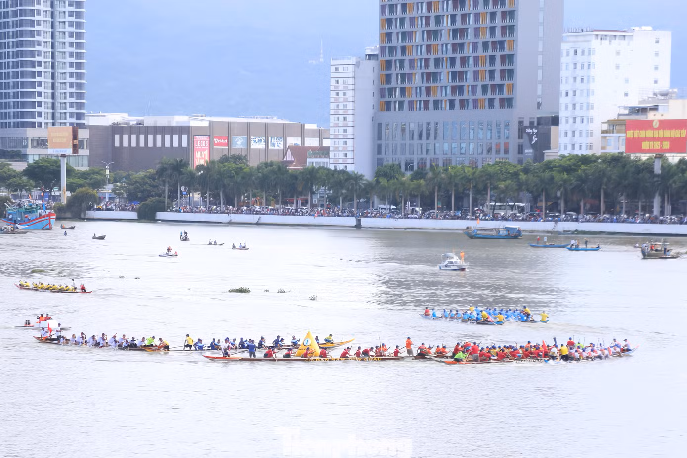 tp-duathuyen29dnimg-104653-0.png