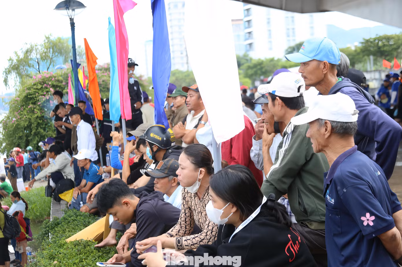 tp-duathuyen29dnimg-105427-0.png