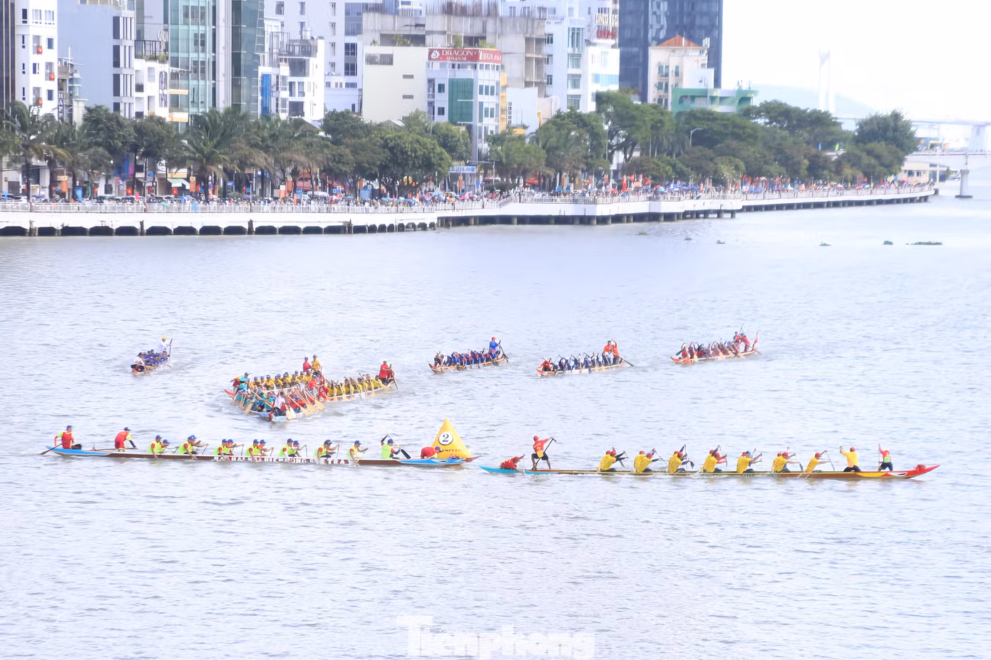 tp-duathuyen29dnimg-104815-0.png