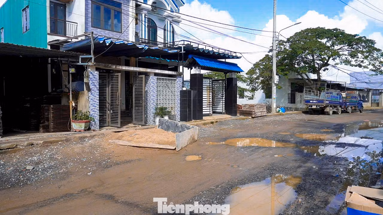 tp-duongleson-11.jpg