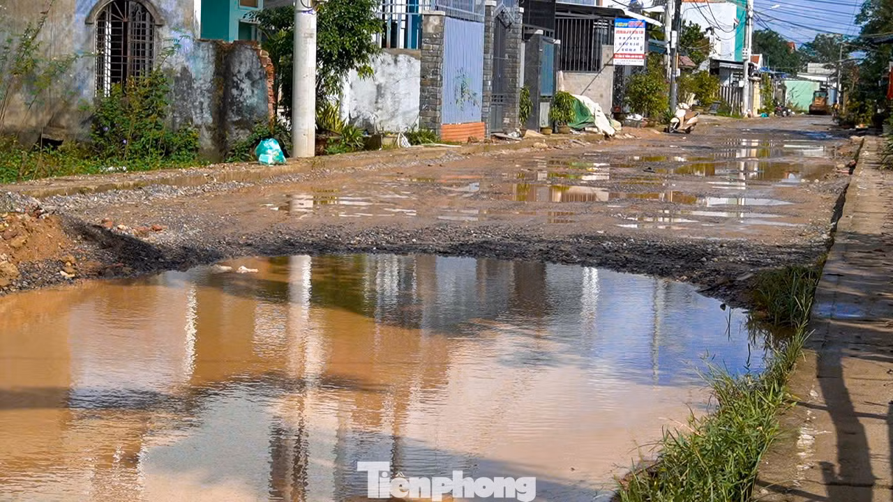 tp-duongleson-3.jpg
