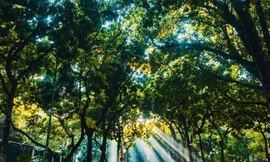 Miền Bắc tăng nhiệt mạnh, miền Trung vẫn mưa như trút