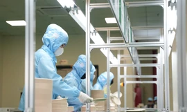 Ngành nhựa Việt Nam đạt 32 tỷ USD, mạnh mẽ ‘xanh hoá’ để không bị tụt lại