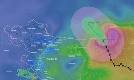 Bão số 7 đổ bộ Trung Quốc hôm nay, hai tác động đến Việt Nam