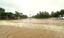 Bão số 5 vừa qua, Biển Đông lại sắp đón áp thấp nhiệt đới