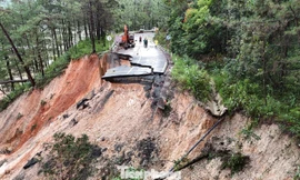 Khảo sát, đánh giá nguy cơ sạt lở đất ở Lâm Đồng