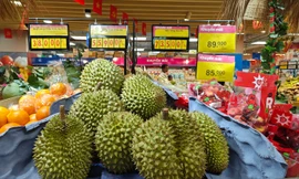 Mỗi quả sầu riêng sẽ được gắn một ‘chứng minh thư’