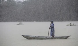 Việt Nam thúc đẩy hợp tác về môi trường, biến đổi khí hậu với Anh, Thuỵ Sỹ