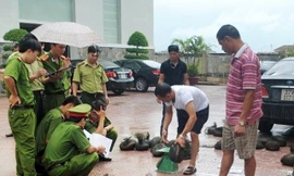 ASEAN siết chặt vòng vây tội phạm động vật hoang dã