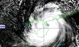 Bão số 11 mạnh lên, nâng mức cảnh báo gió trên đất liền