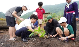 Ra quân chương trình trồng cây ‘Gia đình Haha – Vì một Việt Nam hạnh phúc’