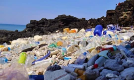 Phân loại rác mới dừng ở quy mô nhỏ, thí điểm