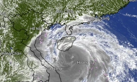 Bão có thể mạnh lên cấp 14, sơ tán gấp hơn nửa triệu dân