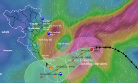 Bão hướng vào Đà Nẵng – Quảng Ngãi, mưa lớn từ đêm mai
