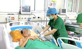 Vi khuẩn Whitmore 'ăn cơ thể' khiến nam bệnh nhân trẻ sốc nhiễm khuẩn, suy đa tạng