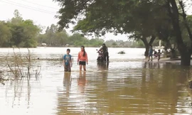 Tiếp xúc nước bẩn mùa mưa lũ coi chừng biến chứng nặng vì viêm da nhiễm trùng 