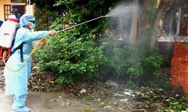 Nguy cơ dịch Chikungunya xâm nhập, chuyên gia chỉ cách phòng chống