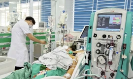 Nữ công nhân nguy kịch vì nghi nhiễm xoắn khuẩn Leptospira sau mưa lũ