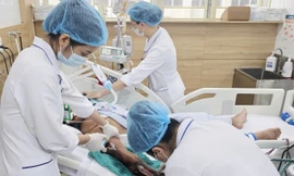 Bị rắn hổ mang cắn, nam bệnh nhân 34 tuổi tử vong vì bỏ qua ‘giờ vàng’ cấp cứu