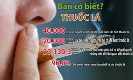 Nguy cơ ung thư, vô sinh và dị tật thai nhi do thuốc lá