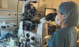 Chất lượng hỗ trợ sinh sản của Việt Nam ngang tầm khu vực và thế giới 