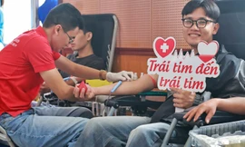 Vì sao hiến máu giúp giảm nguy cơ bệnh tim mạch và ung thư?